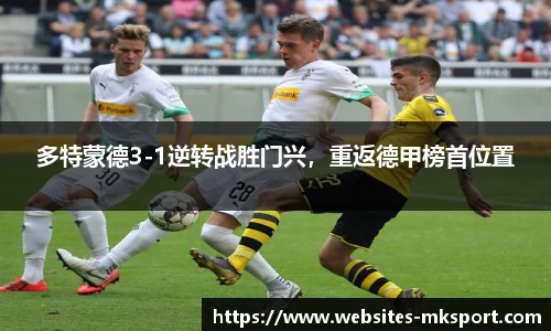 MK体育网址