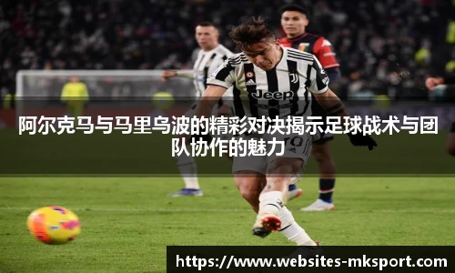 MK体育