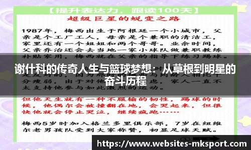 MK体育网址